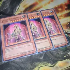 さぼてぬ様 リクエスト 2点 まとめ商品