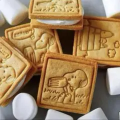 【新品】希少　cotta クッキー型♡スヌーピー　3種セットは販売終了　コッタ