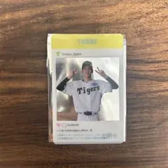 2025年最新】今朝丸裕喜の人気アイテム - メルカリ