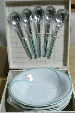 カレー皿、スプーン付き(5客)