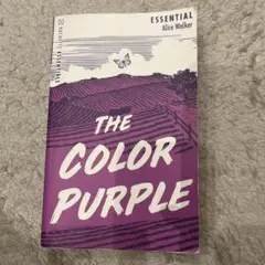 Item thumbnail for item 8eced089-f337-4e60-a6fa-cc65419a11b7