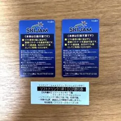 スキージャム勝山【休日】大人1日券 2枚セット＋ドリンク割引券付