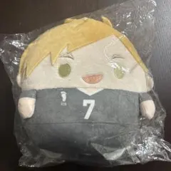 ハイキュー　くじメイト 宮侑 ぬいくじC賞　ふわコロりん Msize