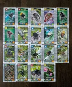 ムシキング【2004セカンド＋】ノーマルムシカードコンプ24種類セット