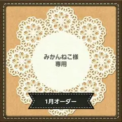 ＊みかんねこ様専用＊