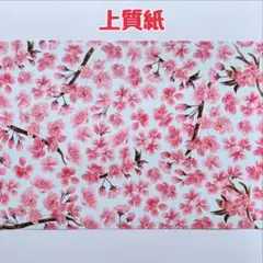 Item thumbnail for item 75342c39-9e52-4411-9c24-d1d3178f0a19