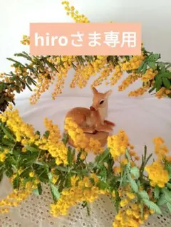 hiroさま専用＊No.h440〜442ヘッドトルソーとNo.c50ケーキトレー