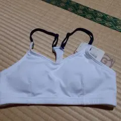 Item thumbnail for item 21a25ede-7ced-451c-8cbf-172f1d713743