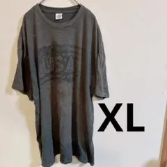 USAプリント グレーTシャツ Delta Pro Weight 穴、汚れあり