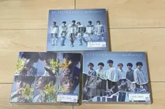 特典付き　SixTONES 僕が僕じゃないみたいだ　3形態セット