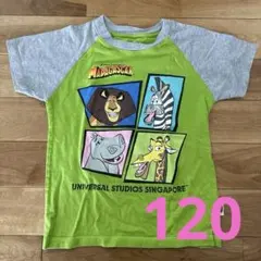 Item thumbnail for item ecf6faf7-f5a5-4871-b7d6-0d2eaa3569ad