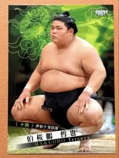 くおん様 リクエスト 2点 まとめ商品