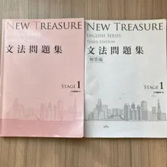 NEW TREASURE 文法問題集 第三版 セット