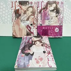 極上お見合いしたら激しい独占欲で取られました 1〜3巻のサムネイル