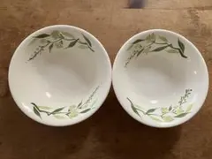 Afternoon Tea 皿 2枚セット ボタニカル柄のサムネイル