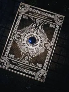 ⭕️IGTテーブル アクリル天板 1ユニット 収納袋付 ランタンポール付き