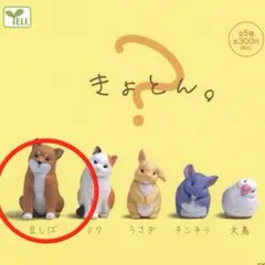 2026年最新】カプセル豆しばの人気アイテム - メルカリ