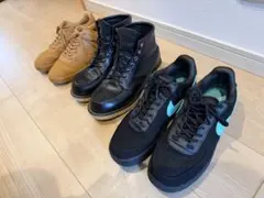 Item thumbnail for item 1653efd3-66a0-4ce6-b4a6-fefee70af811