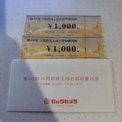 ビックカメラ 株主優待券 2枚セット