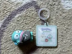 ハンギョドン　2種セット