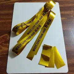 WEST. LIVE TOUR 2025 A.H.O.銀テ+オマケ