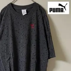 PUMA × Naturel/グラフィックカットソー/S/グレー