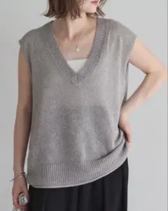 美品】GALLARDAGALANTE 深Vネック ニットベスト ベージュ - メルカリ