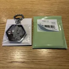 【24時間以内発送】累の姉 コースターアーカイブ オーロラチャーム