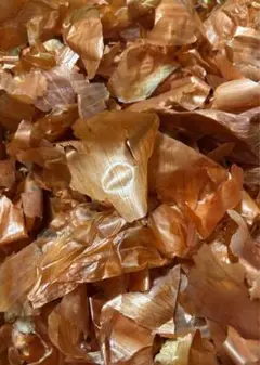 玉ねぎの皮　約100g