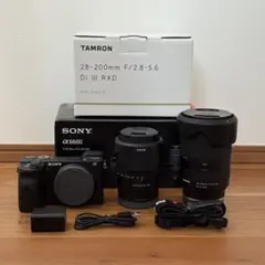 美品 SONY α6600 2386ショット #451 - メルカリ