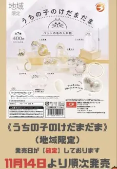 【新品未使用】うちの子のけだまだま　靴下ネコ　地域限定アソート　正規品