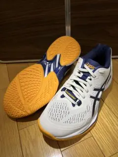 値下げ中 asics SKY ELITE FF 2 新品箱無し25.0cm