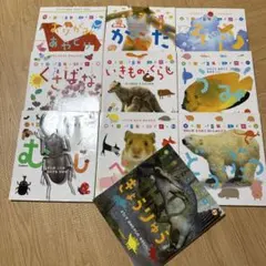 学研 スーパーワイドずかん 全12巻 - メルカリ