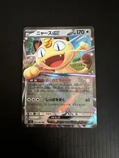 Item thumbnail for item 33b190dc-d54a-4394-83d8-ed03d03971c0