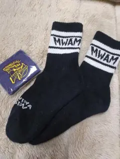 Item thumbnail for item c09b3076-d2b4-4983-a579-ac1c80522d0b