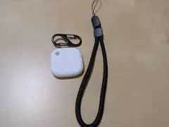 Item thumbnail for item 4a8d900e-aa05-4a32-b482-bf8ecbd1eb03