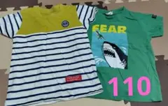 恐竜とストライプTシャツ2枚セット110センチ