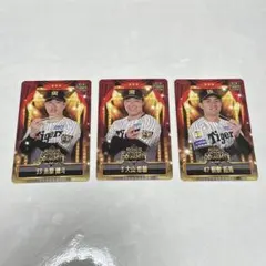 桐敷拓馬 2026年 グルメカード 阪神タイガース - メルカリ