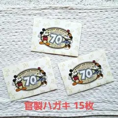 ミッキー・ミニー 70周年記念 はがきセット ディズニー ミッキー ミニー 70周年記念 絵入りはがき ポストカード