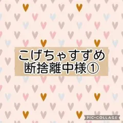 こげちゃすずめ断捨離中様① ダブルガーゼ　リクエスト 2点 まとめ商品