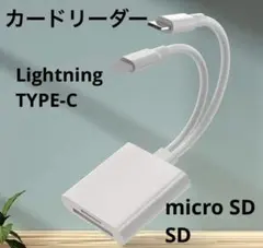 SDカードリーダー ライトニング Type-C 二股 接続簡単 バックアップ