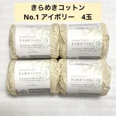 miyaco0531様 リクエスト 2点 まとめ商品