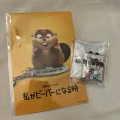 ディズニー　ピンバッジ　ポストカード