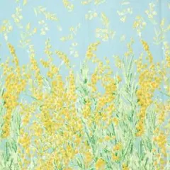 パレアナ★プロフご覧くださいませ★様 リクエスト 2点 まとめ商品