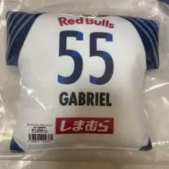 RB大宮アルディージャ　プレイヤーズクッション　ガブリエウ