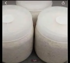 Item thumbnail for item bbea70b2-f863-4c16-ac22-3aefede0014a