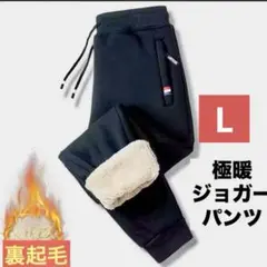 BLACK 裏起毛 Lサイズ パンツ 極暖暖かい　冬支度　北海道旅行　海外旅行