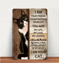 ひよこ様 リクエスト 2点 まとめ商品