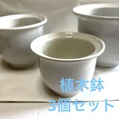 ホワイト陶器植木鉢3個セット