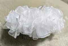 Item thumbnail for item 038817d5-134c-4de1-b24b-841640a0e87a